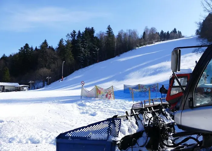 Pod Starym Groniem Курортный комплекс Бренна