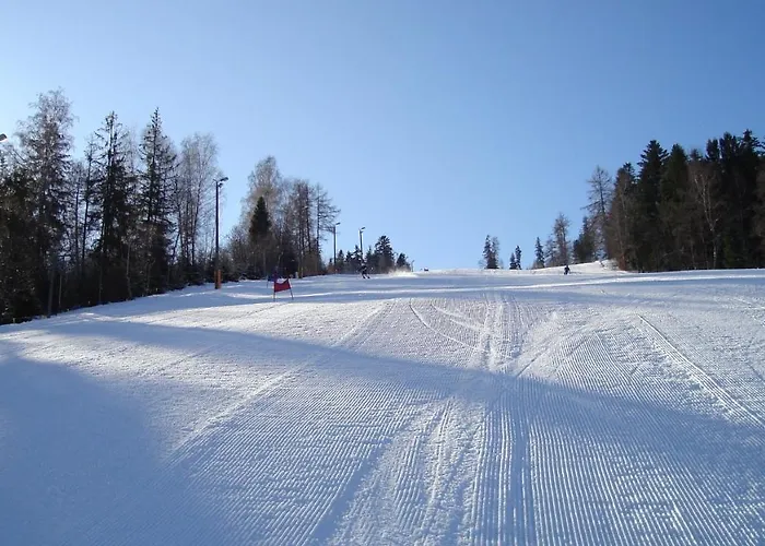 Pod Starym Groniem * Brenna